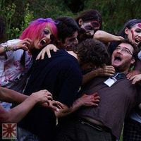 Alexandru Gheorghe's Photo