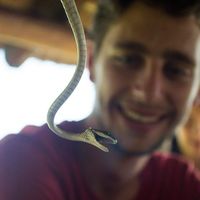 Andoni Mucci的照片