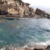 Abdelhamid Chikh Baelhadj的照片