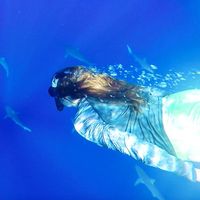 Mathilde Genard's Photo