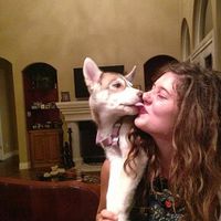 Abby Weidenbach's Photo