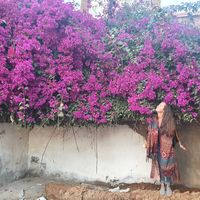 Nucha van Dijck's Photo