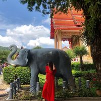 Wiktoria Kier的照片