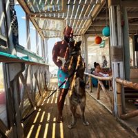 Ahmed Sherif的照片