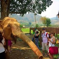 Chiara Passirani's Photo