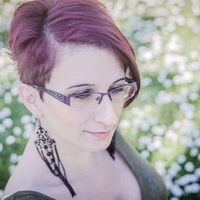 Sunshine Coast's Photo