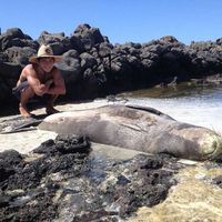 Fotos de Luger Ruger