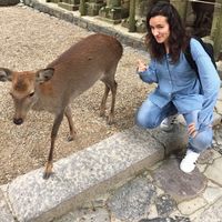 Ju Lefèvre的照片