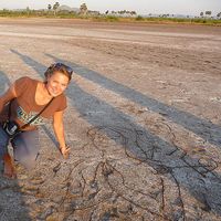 Doke Verstegen's Photo