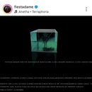 Fiesta TECHNO. 7mo. Aniversario del colectivo DAME's picture