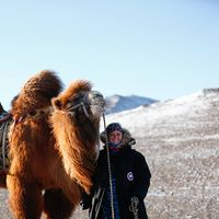 Fotos de Rose Sandler