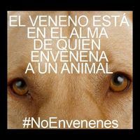 Gustavo González的照片