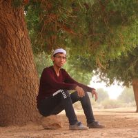 Chikh Bealhadje Noureddine's Photo