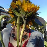 Gisela Meier的照片