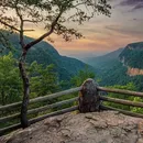 Foto de Camping at Cloudland Canyon State Park