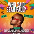 Sean Paul Concert 's picture