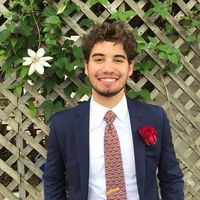 Elie Bashkow的照片