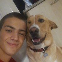 Le foto di Pau Cuscó