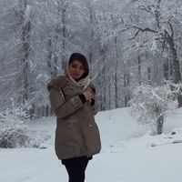 Bahar Aminlou的照片