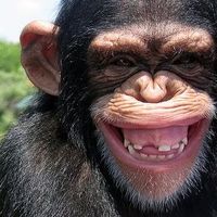 Gerardo Mendoza的照片