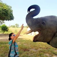 Camille Berthoux的照片