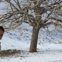 mohammad reza Shirazi's Photo