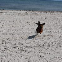 Photos de Svenja Goy