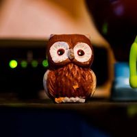 Fotos de Juan Staffolani