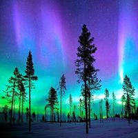 Mary Fu Munro's Photo