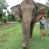 Frances Daley's Photo