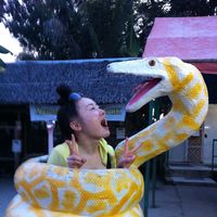 Norie Fujiki's Photo