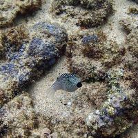 Linda Porter's Photo