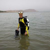 Parastoo Shams的照片