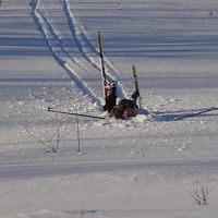 ida molander的照片