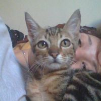 Carolina Emília's Photo