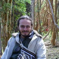 Francisco Ariza的照片