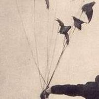 Янислав Трифонов的照片