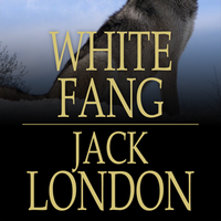 doaa ebrahim's Photo