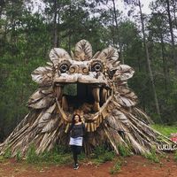 Tere Uhhaha's Photo