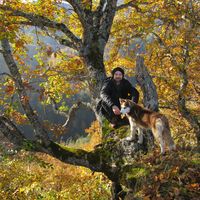 Tsotne Tchanturia's Photo