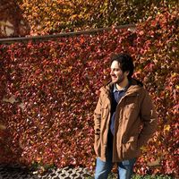 Ahmed Mahrous的照片