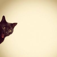 Juli Savino的照片