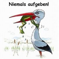 Boris Matijevic的照片