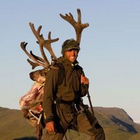 Daniel Pedersen's Photo