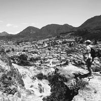 Natalia Pinto Culma's Photo