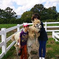 Le foto di Mari  Komori