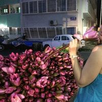 Polina Slesarchuk's Photo