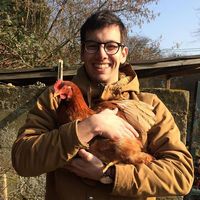 Victor Castadot's Photo