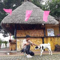 edward gomez's Photo