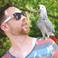 Le foto di Jonas Borgman